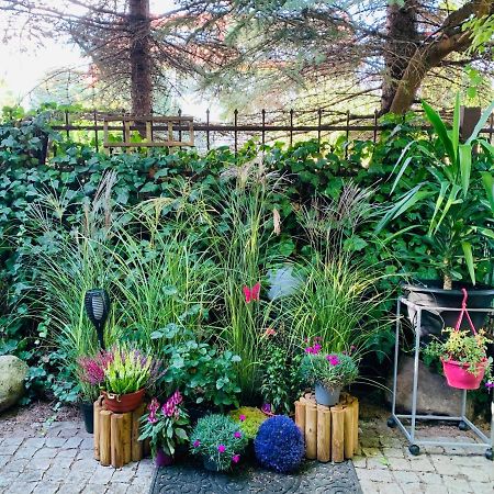 Uroczy Apartament Z Patio Szczecin Kültér fotó